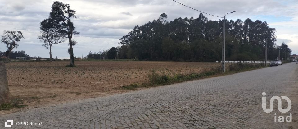 Terrain à bâtir à Aveleda de 21 000 m²