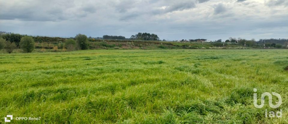 Terrain à bâtir à Aveleda de 21 000 m²