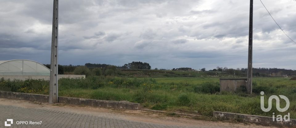 Terrain à bâtir à Aveleda de 21 000 m²