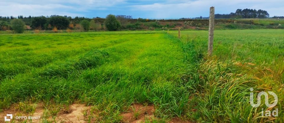 Terrain à bâtir à Aveleda de 21 000 m²