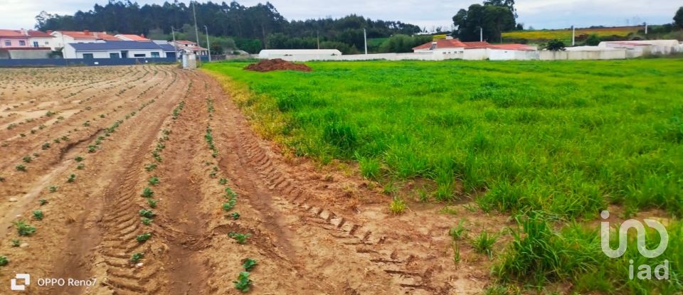 Terrain à bâtir à Aveleda de 21 000 m²