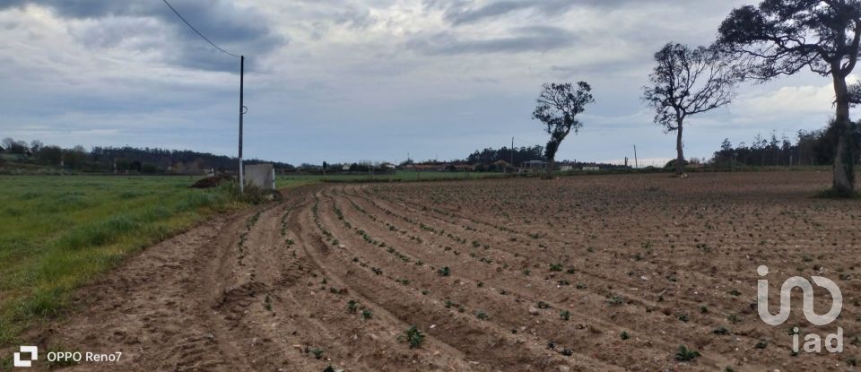 Terrain à bâtir à Aveleda de 21 000 m²