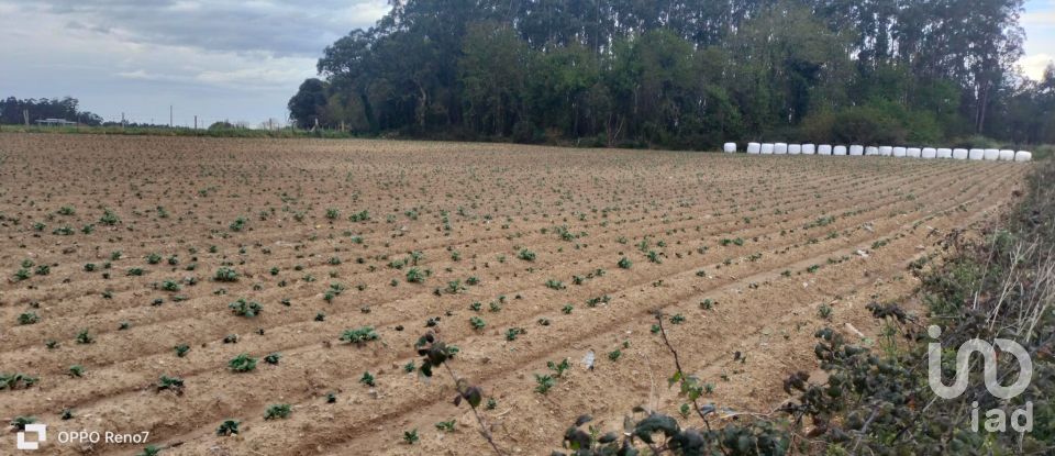 Terrain à bâtir à Aveleda de 21 000 m²