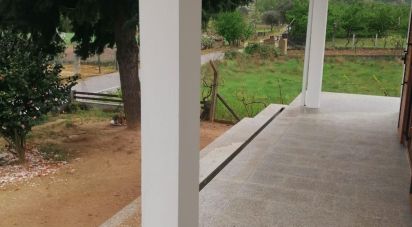 House T4 in Madalena e Samaiões of 250 m²