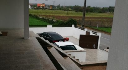 House T4 in Madalena e Samaiões of 250 m²
