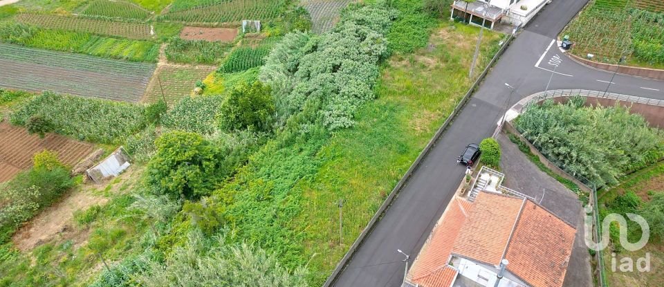 House T2 in Santana of 2,890 m²