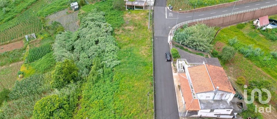 House T2 in Santana of 2,890 m²