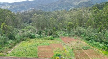 Terrain à bâtir à São Jorge de 3 630 m²