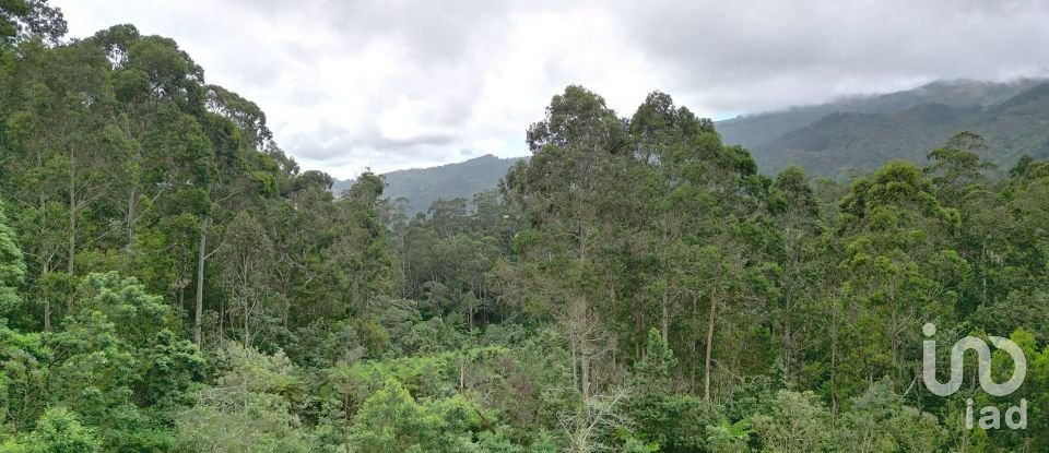 Terrain à bâtir à São Jorge de 3 630 m²