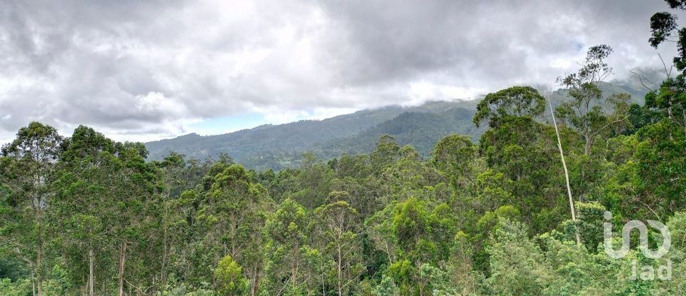 Terrain à bâtir à São Jorge de 3 630 m²