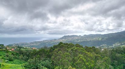 Terrain à bâtir à São Jorge de 3 630 m²