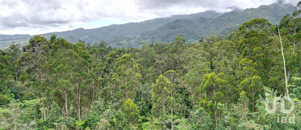 Terrain à bâtir à São Jorge de 3 630 m²