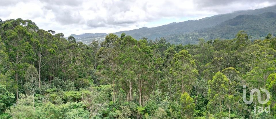 Terrain à bâtir à São Jorge de 3 630 m²