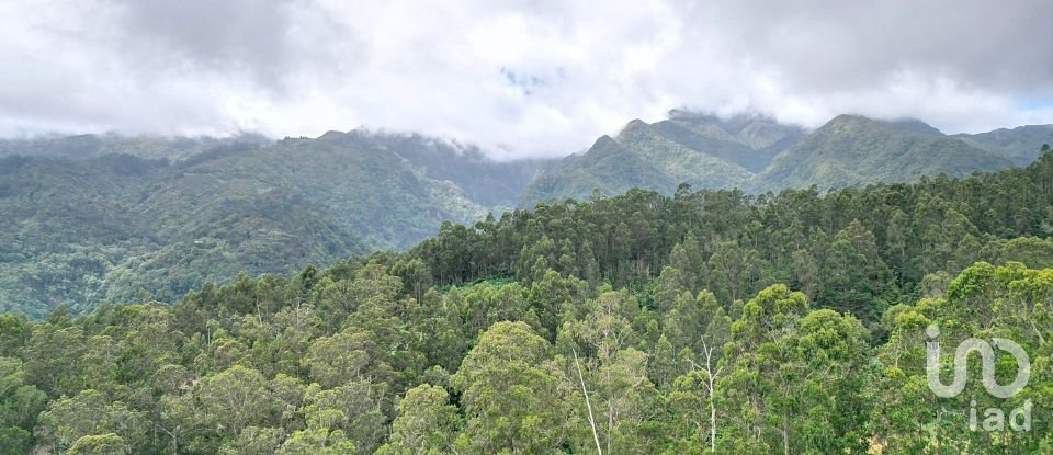 Terrain à bâtir à São Jorge de 3 630 m²