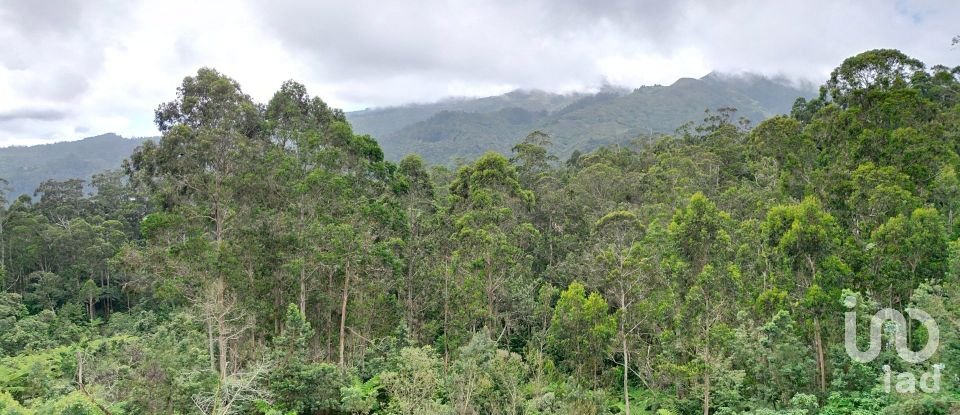 Terrain à bâtir à São Jorge de 3 630 m²