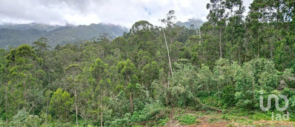 Terrain à bâtir à São Jorge de 3 630 m²