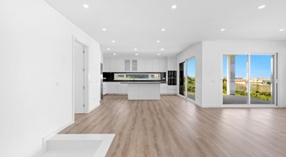 House T3 in Lourinhã e Atalaia of 353 m²
