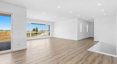 House T3 in Lourinhã e Atalaia of 353 m²