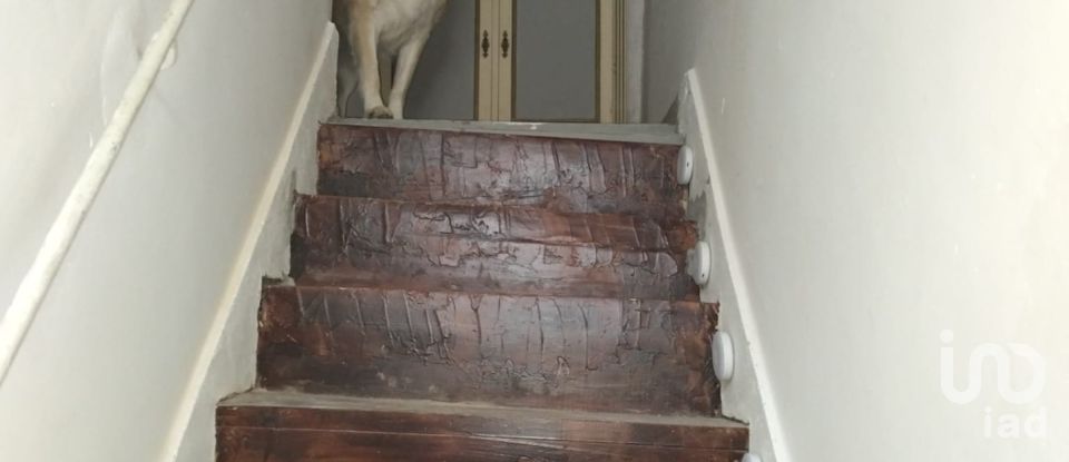 Casa de Campo T3 em Madalena e Beselga de 41 m²