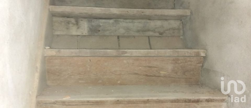 Casa de Campo T3 em Madalena e Beselga de 41 m²