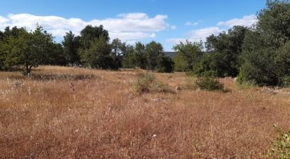 Farm land in Alte of 6,870 m²