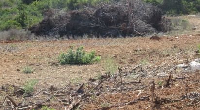 Terrain à Armação de Pêra de 51 360 m²