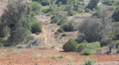 Terrain à Armação de Pêra de 51 360 m²