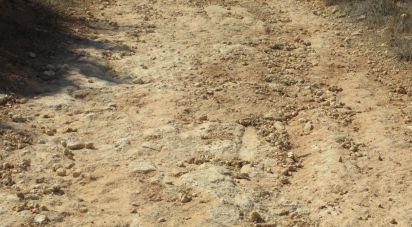 Terrain à Armação de Pêra de 51 360 m²