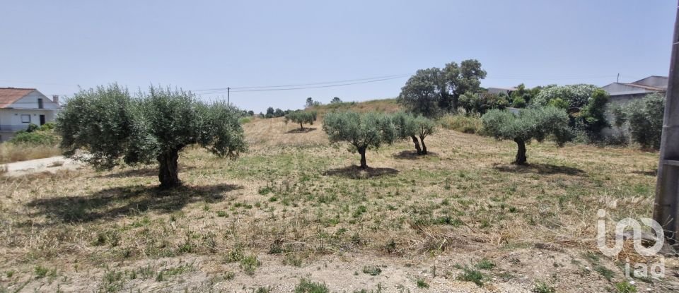 Terreno em Azambujeira e Malaqueijo de 3 650 m²