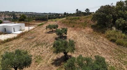 Land in Azambujeira e Malaqueijo of 3,650 m²