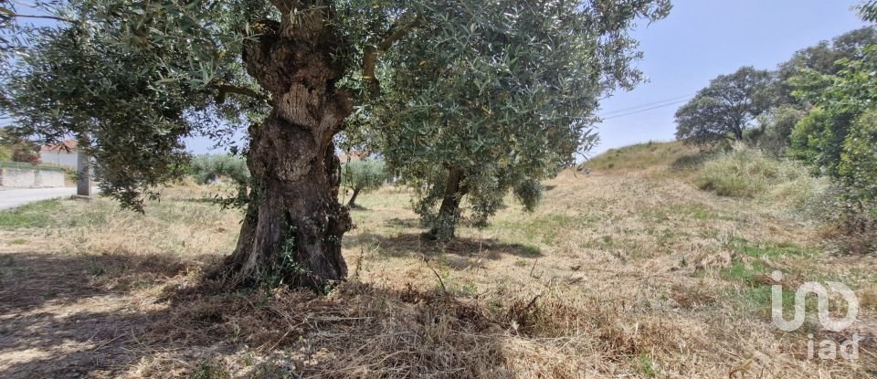 Terreno em Azambujeira e Malaqueijo de 3 650 m²