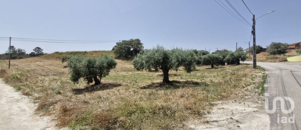 Terreno em Azambujeira e Malaqueijo de 3 650 m²
