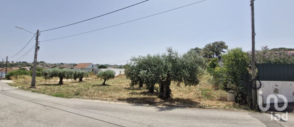 Terreno em Azambujeira e Malaqueijo de 3 650 m²