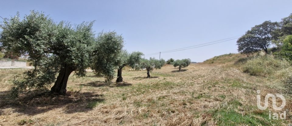 Terreno em Azambujeira e Malaqueijo de 3 650 m²