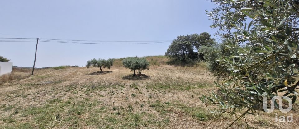 Terreno em Azambujeira e Malaqueijo de 3 650 m²