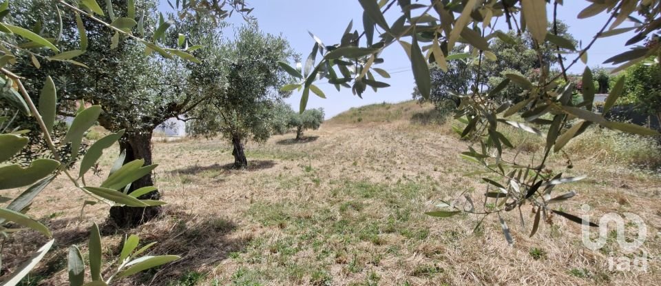 Terreno em Azambujeira e Malaqueijo de 3 650 m²