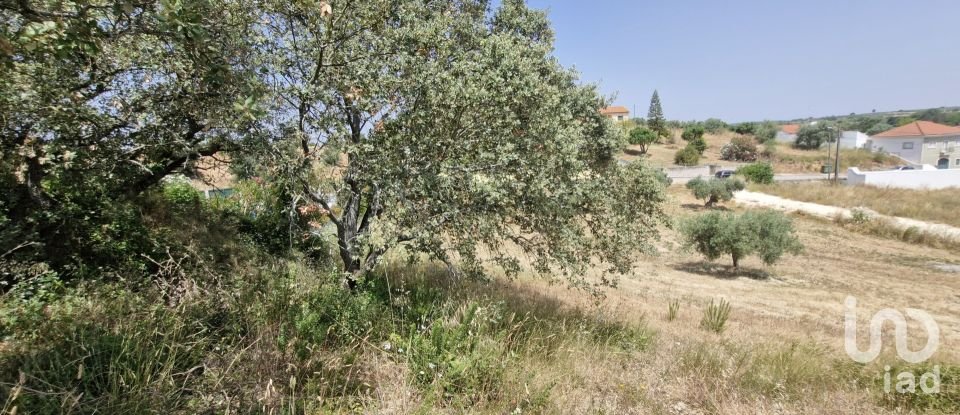 Terreno em Azambujeira e Malaqueijo de 3 650 m²