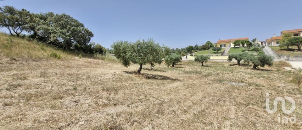 Terreno em Azambujeira e Malaqueijo de 3 650 m²