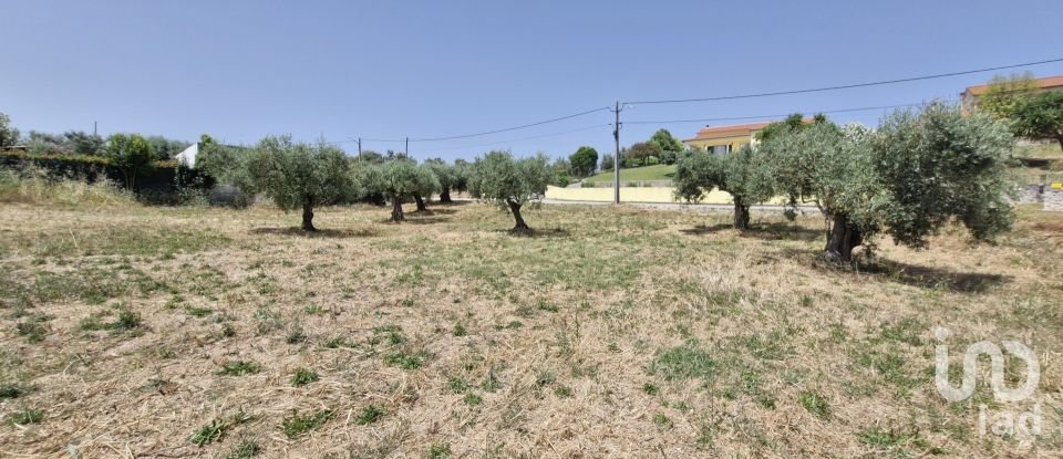 Terreno em Azambujeira e Malaqueijo de 3 650 m²