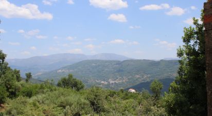 Terrain à Oliveira do Hospital e São Paio de Gramaços de 1 260 m²