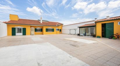 House T4 in Rio Maior of 264 m²