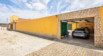 House T4 in Rio Maior of 264 m²