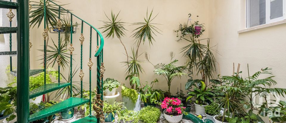 Moradia T4 em Rio Maior de 264 m²