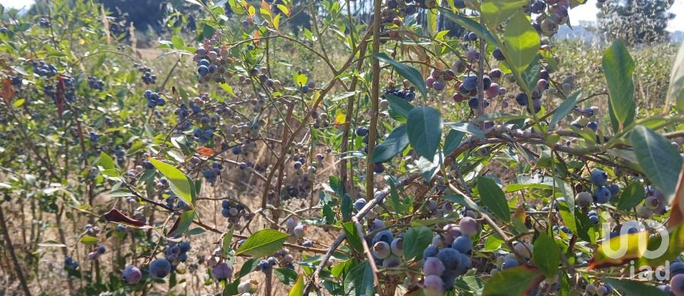 Land in Orjais of 13,681 m²