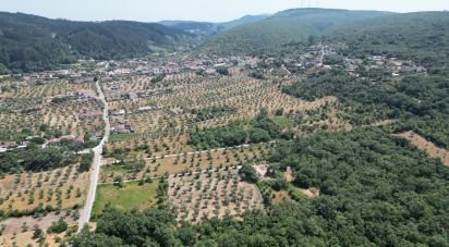 Building plot in Chão de Couce of 3,260 m²