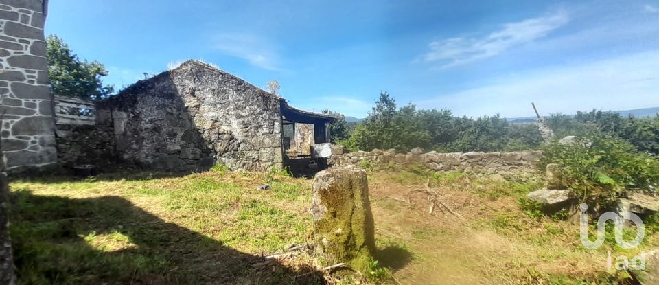 Moradia T3 em Fontoura de 3 100 m²