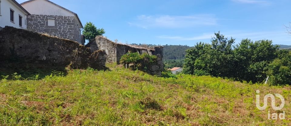 Moradia T3 em Fontoura de 3 100 m²