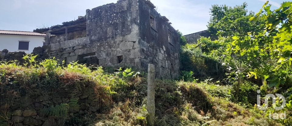 Moradia T3 em Fontoura de 3 100 m²