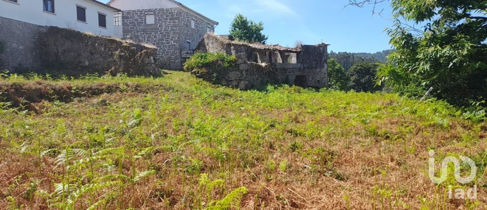 Moradia T3 em Fontoura de 3 100 m²