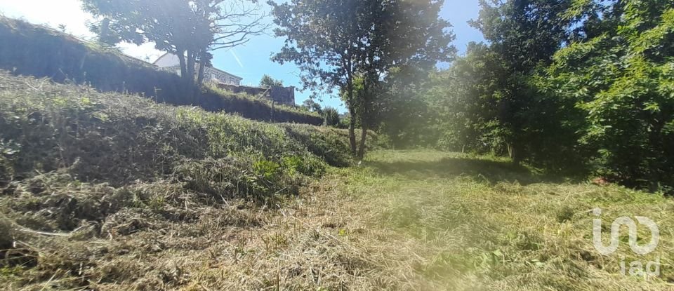 Moradia T3 em Fontoura de 3 100 m²